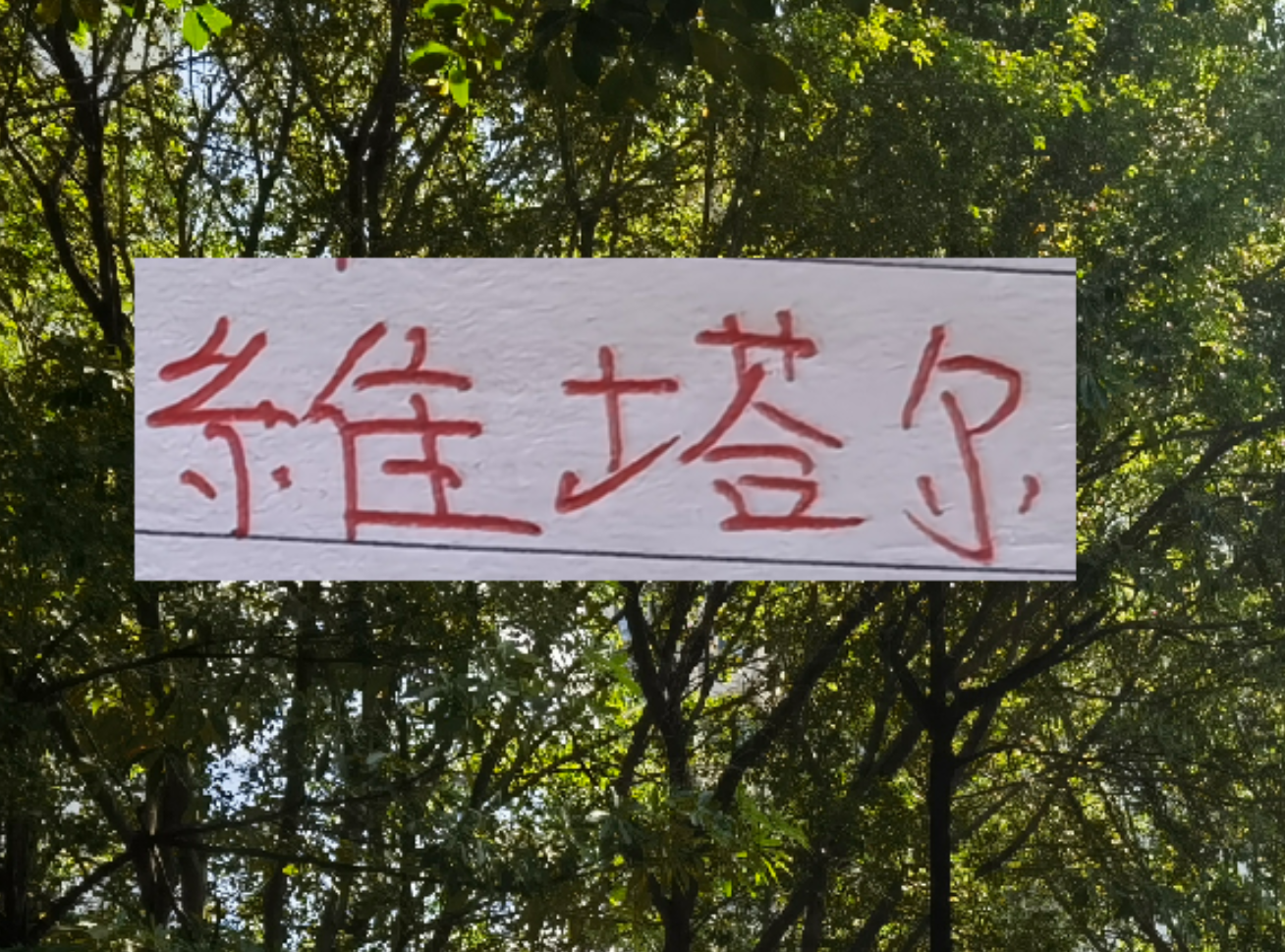 ipad版-上个赛季中超前4的十号 就海港10号维塔尔助攻最多 出场也最多